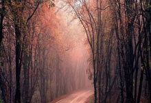 欧国联-奥利塞登贝莱破门总分2-2 法国点球5-4克罗地亚.