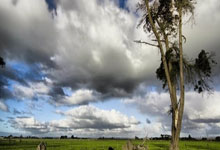 助攻双响，罗马诺：曼城在1月份拒绝了切尔西对奥赖利多份报价.