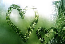 闲记：奥林匹克的春天之约.